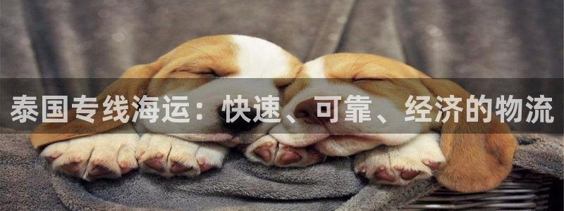 欢迎来到公海电脑版