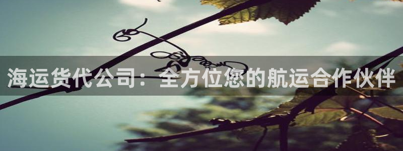 欢迎来到公海710官网