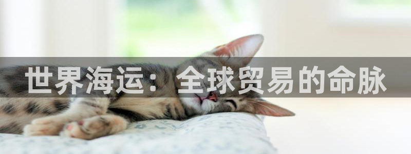 去公海赌博合法吗