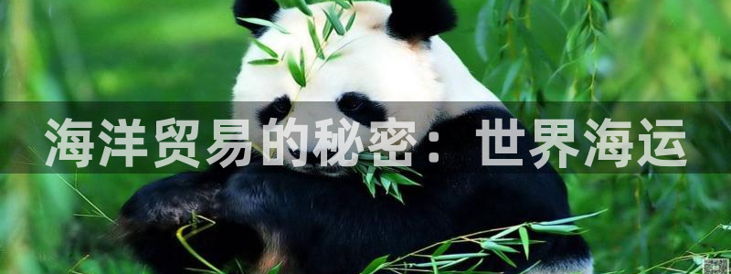 公海欢迎来到赌船
