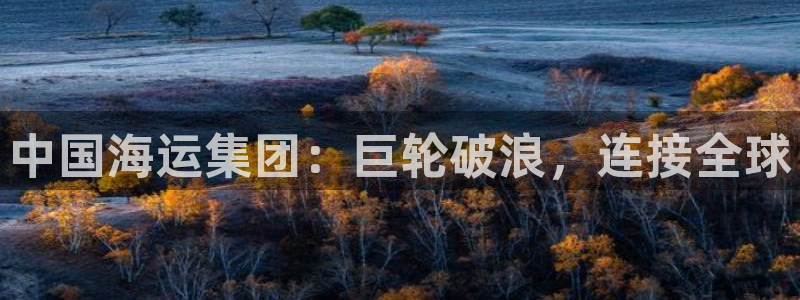 公海赌赌船官网图标