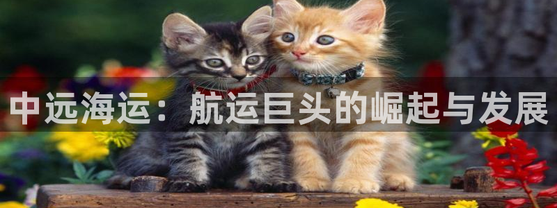 欢迎来公海欢迎来赌船!
