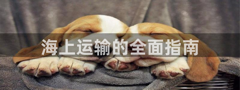 欢迎公海来到赌船710