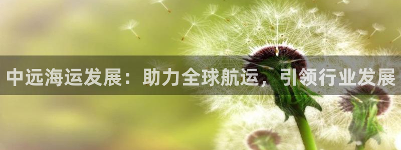 欢迎来到公海电脑版