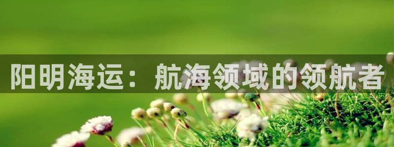 在公海赌博不违法吗