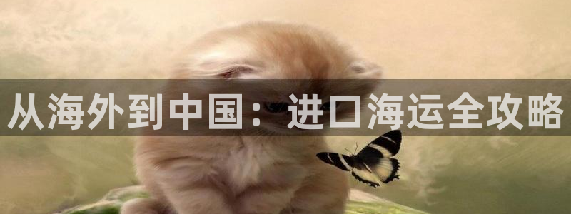 公海船赌网站是多少