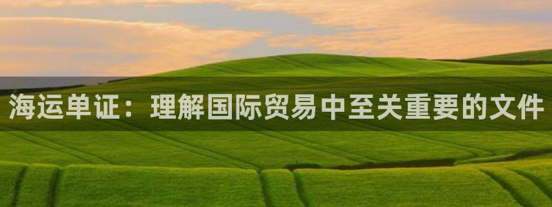 公海赌钱很大吗